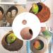 KJKVIVH Natural Coconut Shell Bird Nest House Hut For Pet Parrot Budgies Parakeet Cockatiels Conure Canary Pigeon Cage Rat Gerbil Mice Cage Seed Feeder Toy Nesting Box - Buy Online on GoSupps.com