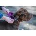 Julius-K9 Adjustable K9 Neck Band with Handle - Pink Gray 40mm (38-53 cm) | Safety Closure & Logo - International Shipping Available - Buy Online on GoSupps.com