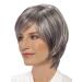 Lofty Wig Sabine - Premium Synthetic Hair Wig in Slate with Light Streaks | Realistic Look - Buy Online on GoSupps.com