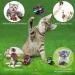 SunGrow Cat Crinkle Balls - Lightweight Toy for Kittens and Adult Cats - 1.5-2 Inches - 12 Pieces Multicolor - Buy Online on GoSupps.com
