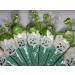 Green Reptiles Sweet Candy Cones Sweets Party Bags Filled Bag Sweet Gift Cone x 12 - Buy Online on GoSupps.com