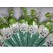 Green Reptiles Sweet Candy Cones Sweets Party Bags Filled Bag Sweet Gift Cone x 12