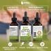 Maxx Herb Olive Leaf Extract Liquid - Max Strength for Immune Support & Heart Health - 4oz Bottle (60 Servings) - Buy Online on GoSupps.com