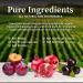BioPure Deep Purple All-Natural Superfruit Dietary Supplement - 100g - Buy Online on GoSupps.com