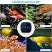 Brifit Digital Mini Aquarium Thermometer - High Precision LED Display Touch Screen Gluing-On for Fresh & Marine Water - 1 Piece Black - Buy Online on GoSupps.com