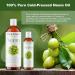 Plant Guru Neem Oil 2 fl. oz. Unrefined Cold Pressed 100% Pure Natural Nourishing for Skin Hair and Scalp Hydrating and Moisturizing. - Buy Online on GoSupps.com
