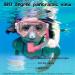 Seago Kids Swim Goggles Snorkel Diving Mask | Anti-Fog 180 Clear View | Youth Pink - Buy Online on GoSupps.com