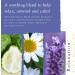 Shop Absolute Aromas Body Balancing Massage Oils | Premium Quality International Shipping - Buy Online on GoSupps.com