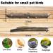 Kathson 6 PCS Parrot Perch Toy Set - Natural Wood Bird Cage Accessories for Parakeet, Budgies, Lovebirds - Buy Online on GoSupps.com