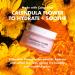 Calendula Cream Hydrating Daily Moisturizer - Natural Healing for Dry Skin Repairs & Rehydrates Promotes Collagen 1oz | Shop Internationally - Buy Online on GoSupps.com