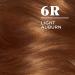 Clairol Nice'n Easy 6R Light Auburn Permanent Hair Dye - 1 Count - Buy Online on GoSupps.com