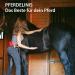 Rubber Seals for Pets - Brush & String for Horses Dogs Cats | Health & Well-being - Buy Online on GoSupps.com