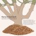 Nitangel Natural Coconut Hamster Litter | Eco-Friendly Pet Litter for Dwarf Hamsters Gerbils Mice & Small Animals - OAK Granula 8-10mm - Buy Online on GoSupps.com