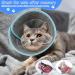 Adjustable Foldable Cat Collar for Post-Surgery & Injury Care | Best Cat Collar for Cats - International Shipping Available - Buy Online on GoSupps.com