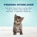 Blue Buffalo Baby Blue Salmon Kitten Treats 2oz - Grain Free & Natural - Buy Online on GoSupps.com