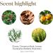 Vitality Thieves Essential Oil 5ml - Young Living | Premium 100% Pure Clove Lemon & Cinnamon Blend for Immunity & Wellness - Buy Online on GoSupps.com
