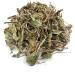 Wild Dandelion Dried Leaves and Roots 85g - 1 95Kg Premium Quality Taraxacum Officinale (460 Grams) - Buy Online on GoSupps.com