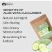 Blessfull Healing Organic 100% Pure Natural Aloe Vera Cuccumber Powder | 100 Gram / 3.52 oz Pack Of 2 - Buy Online on GoSupps.com