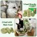 90g Cat Grass Treats Cat Grass Teething Stick for Hairball Remove and Teeth Cleaning Edible Cat Grass Stick Snack - Buy Online on GoSupps.com