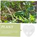 SHOWERORO Plant Clear Fruit Vegetable Fruit Fruit Mould Garden Tools Watermelon - Buy Online on GoSupps.com