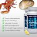 Maximum Strength Glucosamine Sulphate 2KCl | 1858mg Per Serving | 2 x 60 Tablet Bottles 120 Tablets Total | Manufactured in The UK 120 count (Pack of 1) - Buy Online on GoSupps.com