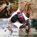 NeuWook Dog Boots 4 Pcs Waterproof Anti-Slip Breathable Dog Shoes with Two Adjustable Fastener Straps Easy to Wear Dog Sneakers Comfortable Soft Soled for Small Medium Large Dogs (Red XXL) XXL Red - Buy Online on GoSupps.com