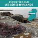 VIRHEA Sea Moss 50g Enti re Mousse de Mer Irlandaise Algue S ch e Naturelle - Buy Online on GoSupps.com