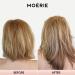 Moerie Mineral Shampoo and Conditioner + Hair Growth Spray Set - Ultimate Hair Care Pack for Longer, Thicker, Fuller Hair | Volumizing, Paraben & Silicone Free - 3 Products - Buy Online on GoSupps.com