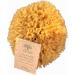 Zerazi | Natural Sea Sponge | 17-18 cm | - Buy Online on GoSupps.com