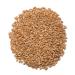 Organic Hard Red Spring Wheat Berries - Ideal for Cereals, Salads, and Baking | 1000 Springs Mill | Fresh Flour, Sprouting Seeds | Bulk Dried Grain | 16oz Resealable Bag - Buy Online on GoSupps.com