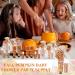 24 Sets Pumpkin Hand Cream & Lip Balm Gift - Fall Bridal Baby Shower Travel Size Party Supplies with Organza Bag & Tag - Buy Online on GoSupps.com