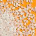 Buy Reishunger Bio Sushi Reis (3x600g) - Authentic Organic Sushi Rice from Italy - 1.8 kg for Authentic Sushi Enjoyment - Slightly Sweet Aroma - Buy Online on GoSupps.com