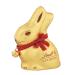 Lindt chocolate gold bunny |8 x 50 g gold bunny |Fully milk chocolate in rabbit shape for Easter |Easter chocolate |Chocolate gift |Chocolate bunny |Easter Bunny