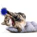 20 Pcs 2 Inch Cat Sparkle Balls Toy for Kittens and Cats - Interactive Exercise and Play Balls for Chasing - Buy Online on GoSupps.com