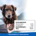 Adams Plus Flea & Tick Collar for Large Dogs & Puppies | 7-Month Protection | Kills Fleas, Flea Eggs, Larvae & Ticks - Buy Online on GoSupps.com