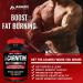 Super Strength L-Carnitine 1000mg with Calcium for Enhanced Metabolism & Muscle Gain - Arazo Nutrition - Buy Online on GoSupps.com