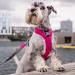 DOG Copenhagen V2 Comfort Walk Pro Harness - Classic Red XS | Premium Dog Harness for Small Dogs - Buy Online on GoSupps.com