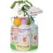 Little Twig Bath Time Bubbles Gift Set - Unscented/Lavender/Tangerine - 2.18 Pound - Buy Online on GoSupps.com