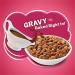 Purina Friskies Gravy Swirlers Adult Dry Cat Food 3.15lb - Delicious Gravy Flavors | Nutritious Cat Food - Buy Online on GoSupps.com
