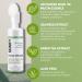 Glass-Skin Snail Mucin Facial Foam Cleanser w/Exfoliator Ultra Hydration with Aloe Vera Green Tea & Seaweed All Skin Types Men & women Deeply Hydrates Detoxifies & Protects (5.1 Oz) 5.1 Fl Oz (Pack of 1) - Buy Online on GoSupps.com