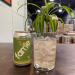 FAME Soda: Lemon Mint 12 x 355ml - Buy Online on GoSupps.com