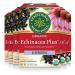 Traditional Medicinals Organic Echinacea Plus Elderberry Seasonal Tea, 16 Tea Bags (Pack of 6)