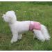 JoyDaog Female Dog Diapers for Large Dogs - Reusable XXLarge 4 Pack in 4 Bright Colors | Ideal for Home & Travel - Buy Online on GoSupps.com