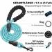 Haapaw Adjustable No Pull Dog Harness & Leash Set - Reflective Padded Vest for Extra Small to Medium Dogs (Turquoise 3.2-5 kg) - Buy Online on GoSupps.com