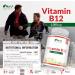 Vitamin B12 1000mcg - High Strength Vegan Tablets - 400 Count - Methylcobalamin - Reduce Tiredness & Fatigue - 13 Month Supply - Buy Online on GoSupps.com