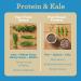 Amazing Grass Vegan Protein & Kale Powder - 20g Organic Protein + 1 Cup Greens - Vanilla - 15 Servings 1.09 Pound - Buy Online on GoSupps.com