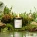 Wellness Candle Organic Forest Bathing | CandaScent Labs | 100% Botanical Black Spruce & Fir Balsam - Luxurious Rejuvenating & Synthetic-Free - Buy Online on GoSupps.com