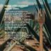 Sustainable Agave Co - Agave Fiber Forks - Plastic-Free Biodegradable Plant-Based - Brown Bulk - 1000 Count - Buy Online on GoSupps.com