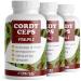 Cordyceps capsules 540x - 2100 mg vital mushroom extract made of cordyceps sinensis - high -quality cordyeps extract (10: 1) with 40% bioactive polysaccharides (840 mg per day) - stock 3x 180 capsules