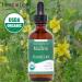 Herb Lore Mullein Tincture - Organic Mullein Drops for Lungs - Alcohol Free - 2 fl oz 2 Fl Oz (Pack of 1) - Buy Online on GoSupps.com